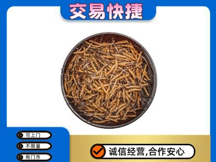 潍坊市高密高价回收散虫草